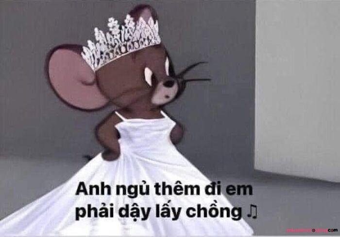 ảnh meme ngủ ngon jerry